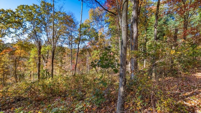 52-zj 18384 Crawmer Rd Se,105-2