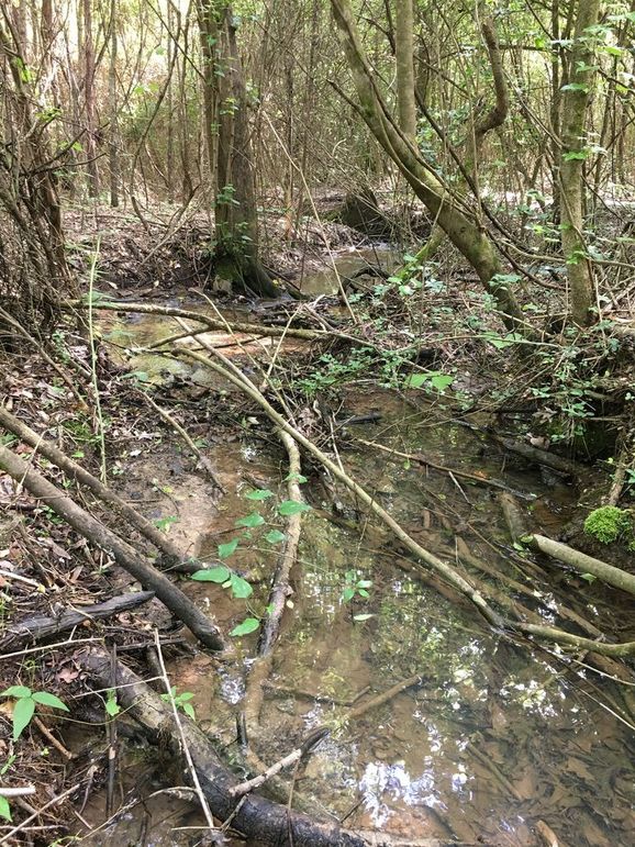 BF5DD2BF-1C9D-4091-B34E-0751EB4BE983_1_105_c