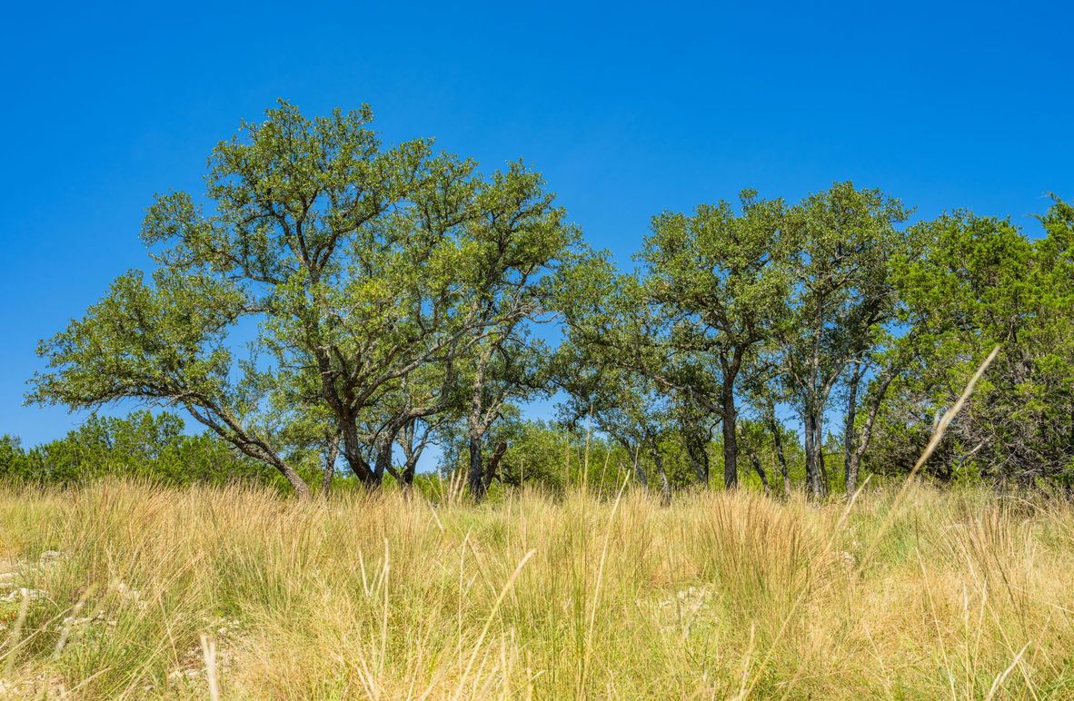 2-web-or-mls-DSC08279