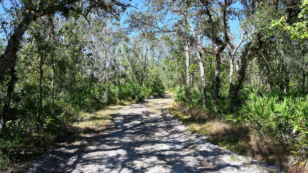 Multi Use Tract Bordering Peace River State Forest Whitetail Properties