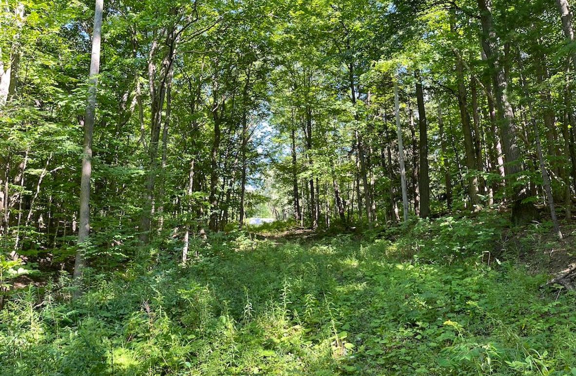 Ontario_2.7_Proseus Photo 1