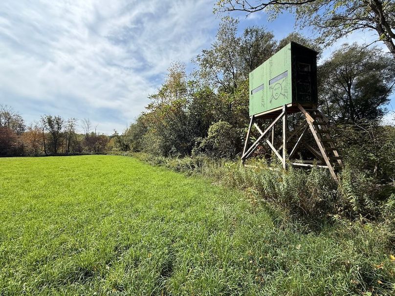 Cayuga_55.02_Herman Photo 55