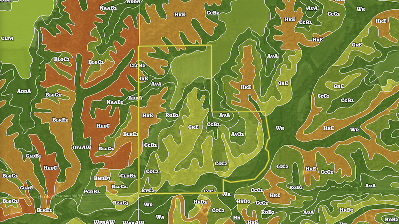 Screenshot 2025-08-07 082909