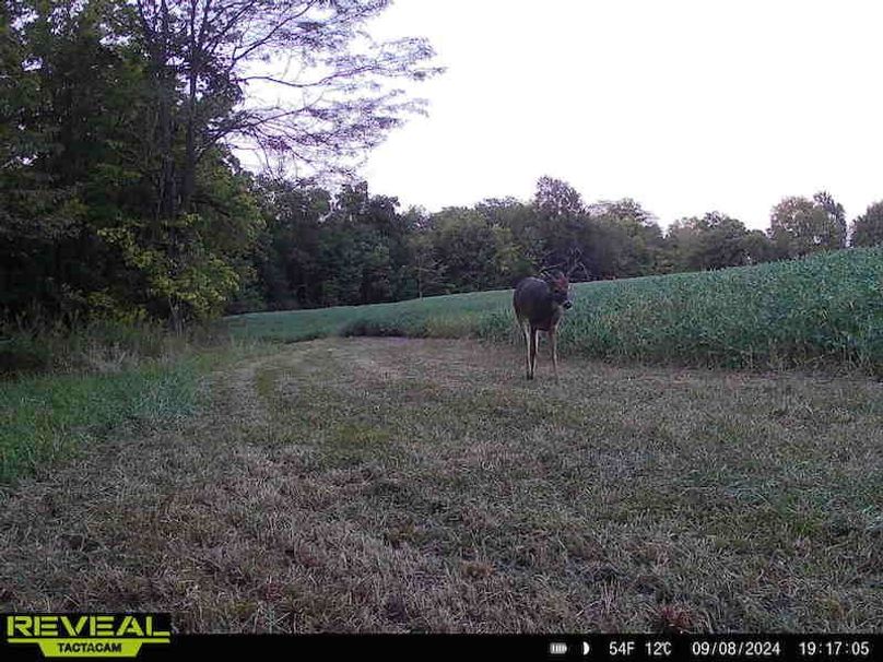 864049050361650-100-2-09082024191704-HD-W1003373