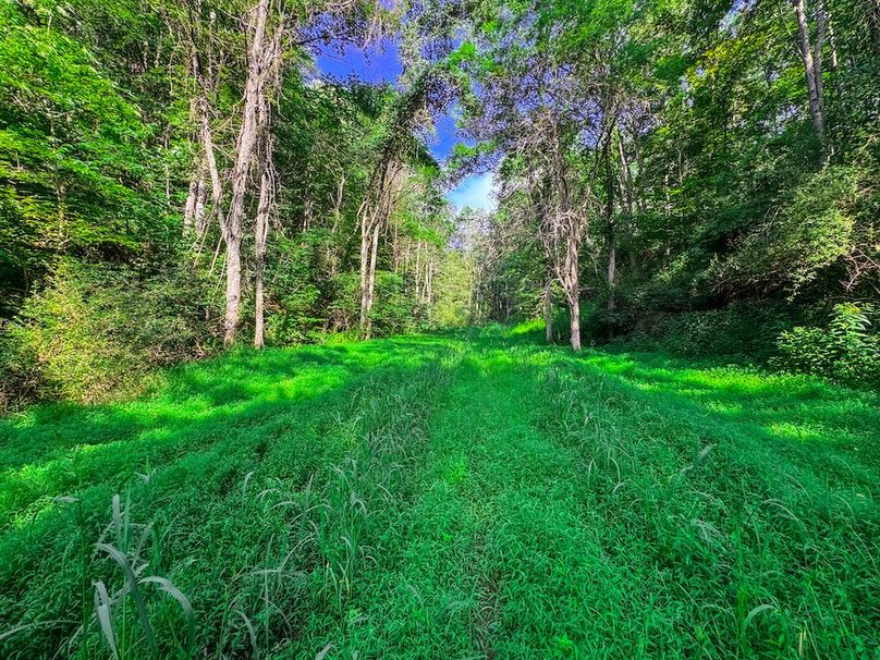 Lewis, WV 105 AC Miller-41