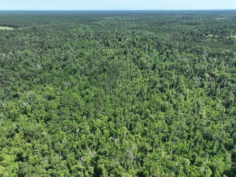 dji_fly_20250522_163240_250_1747959797836_photo