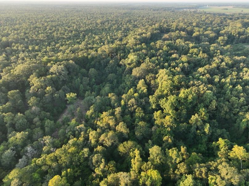 dji_fly_20250909_072556_190_1757426915477_photo