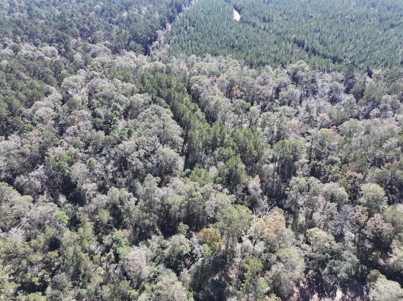 dji_fly_20251209_121900_0762_1765308499576_photo