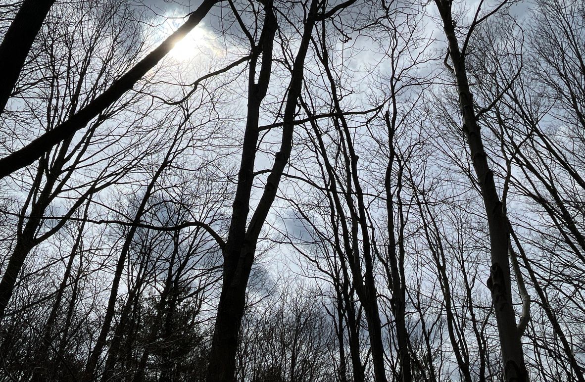 Schuyler_15.44_Bringhurst photo 2