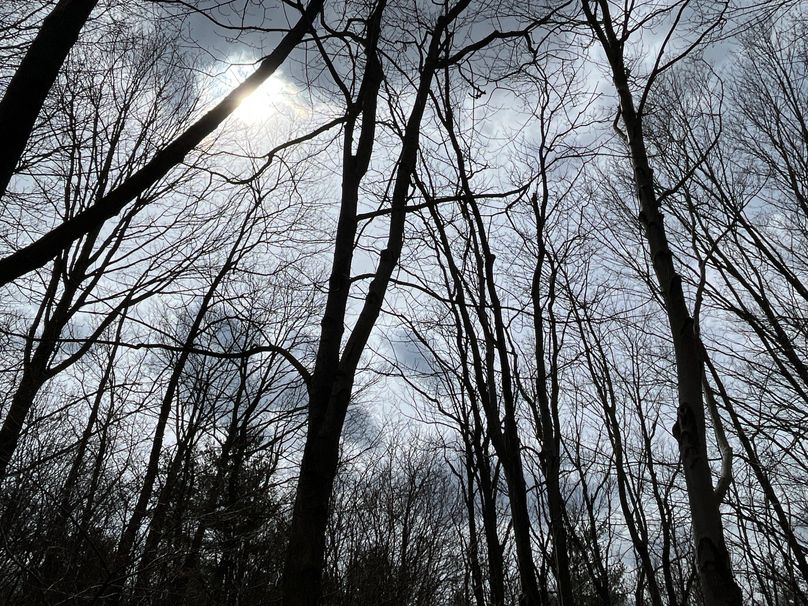 Schuyler_15.44_Bringhurst photo 2