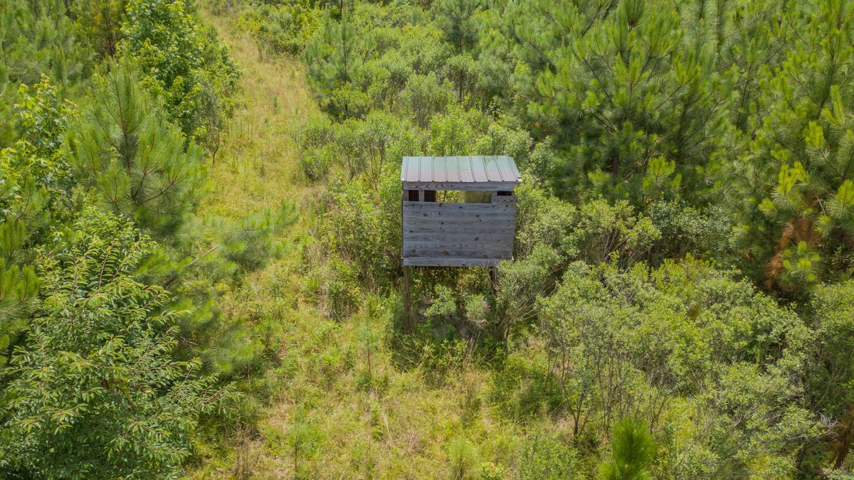 Sisson Bridges Tract With Dirt Road Frontage Whitetail Properties