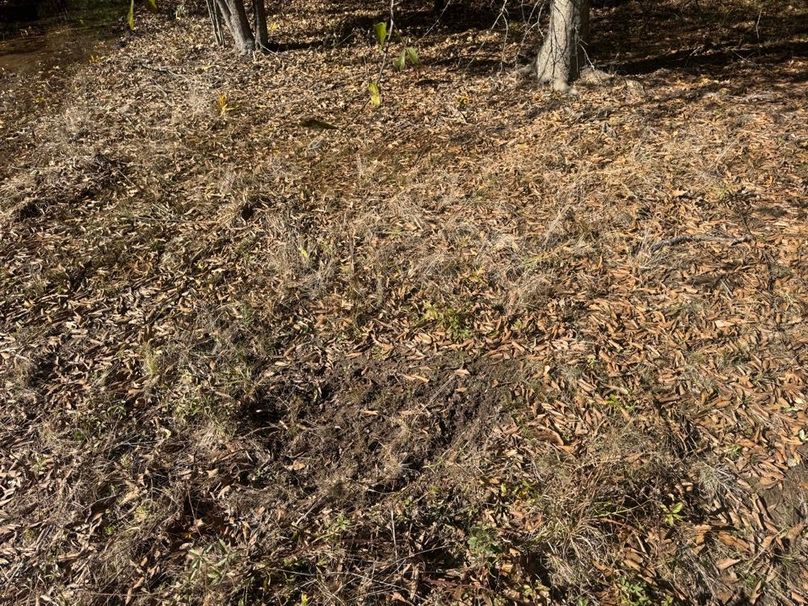 1a1 jeff 8320251111_0247