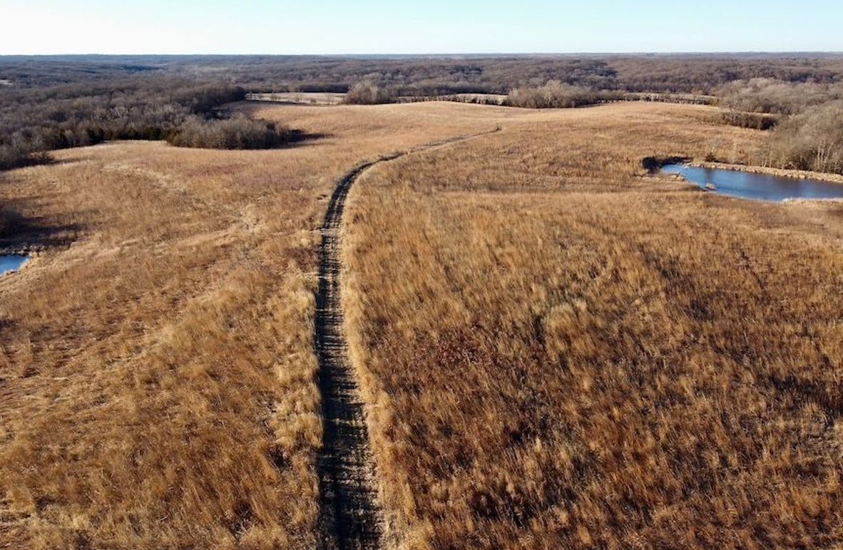 728973FB-EAA8-405B-A388-42D5237AA2A7_1_201_a