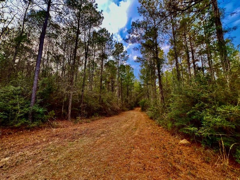 D01A0DD3-3D01-477C-9289-1713CC768B60_1_201_a