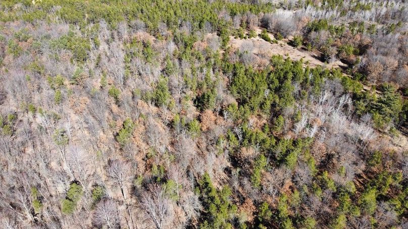 dji_fly_20240306_110226_33_1709744816018_photo_optimized