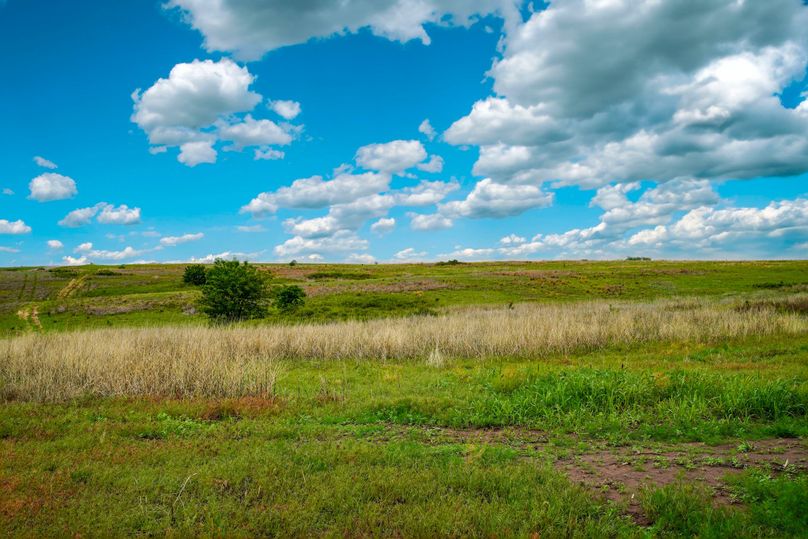 Comanche320_058 copy