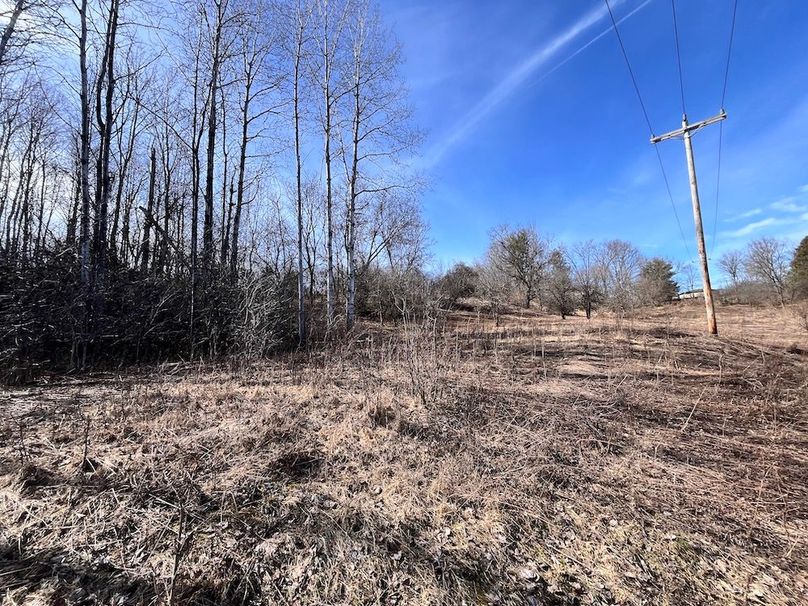 Lewis_26_Somberg Photo 53