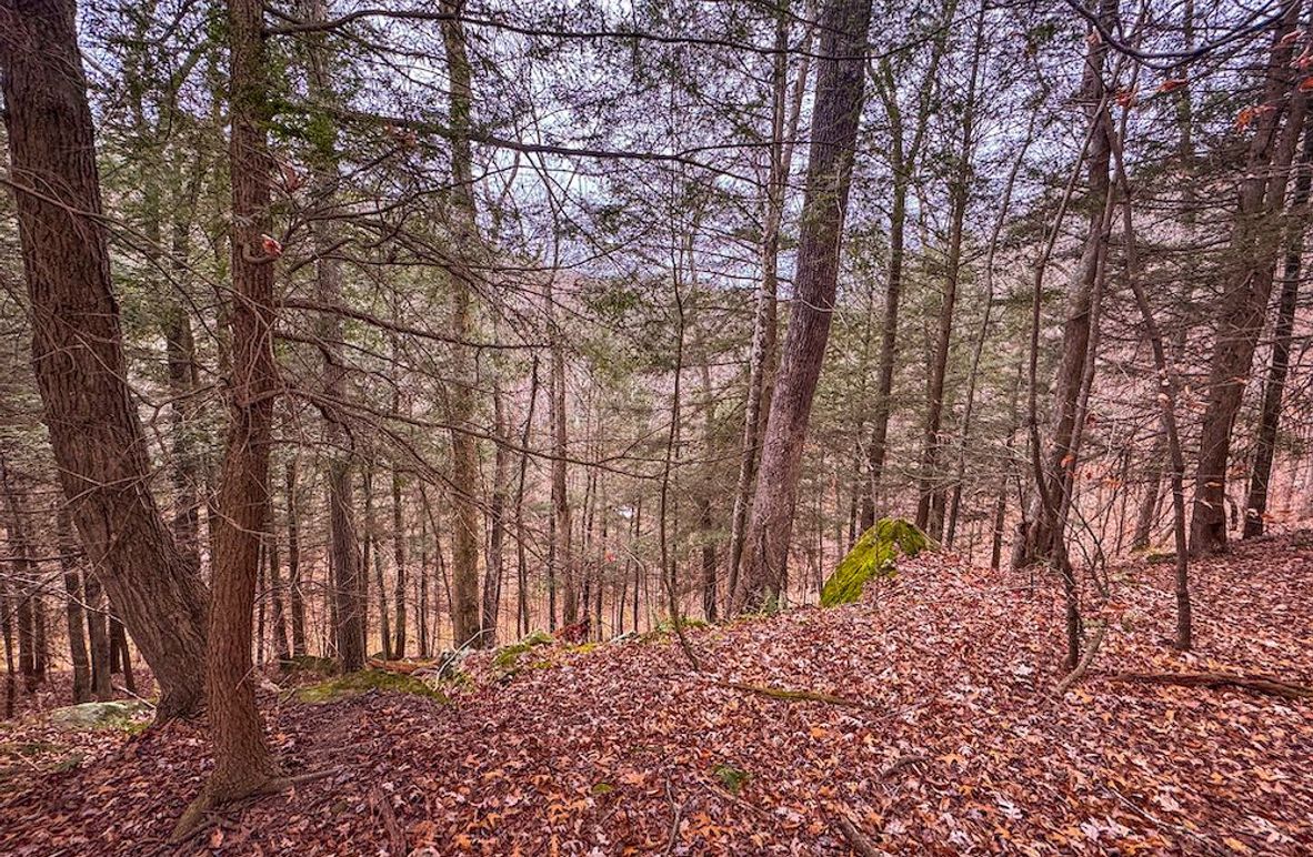 Ritchie, WV 15.5 AC Harper-03