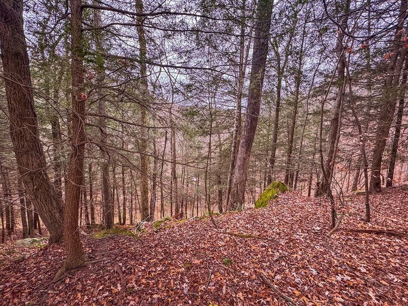 Ritchie, WV 15.5 AC Harper-03