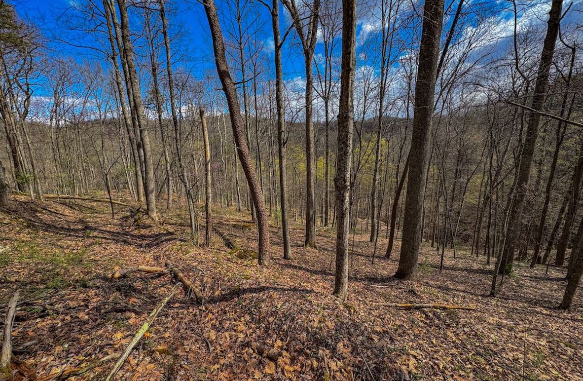 Wirt, WV 62.5 AC Full-03