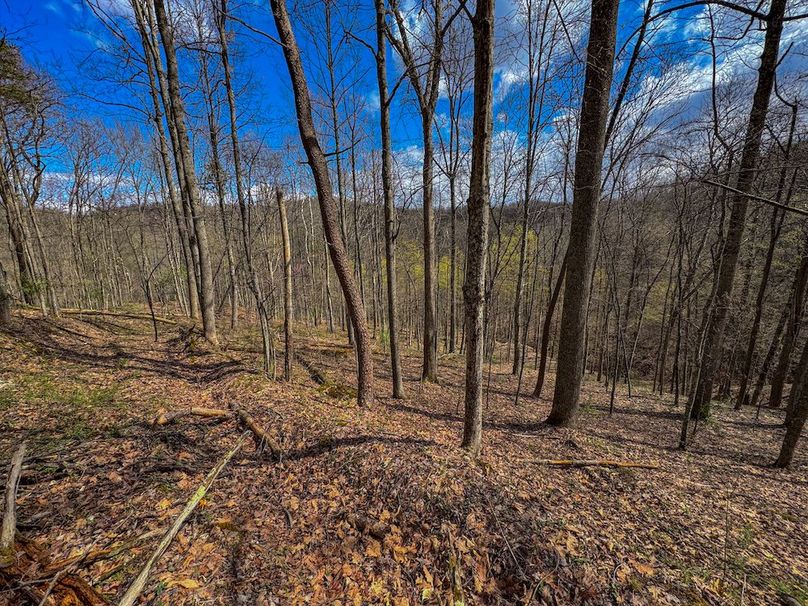 Wirt, WV 62.5 AC Full-03
