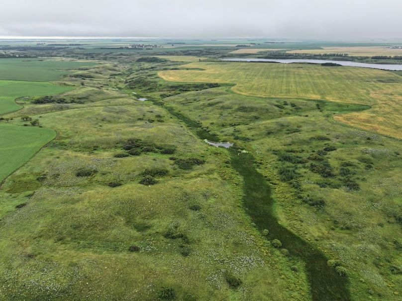 DJI_20250704133305_0607_D