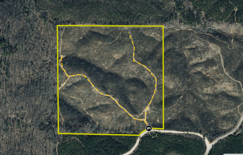 Screenshot 2026-03-26 at 12.21.31 PM