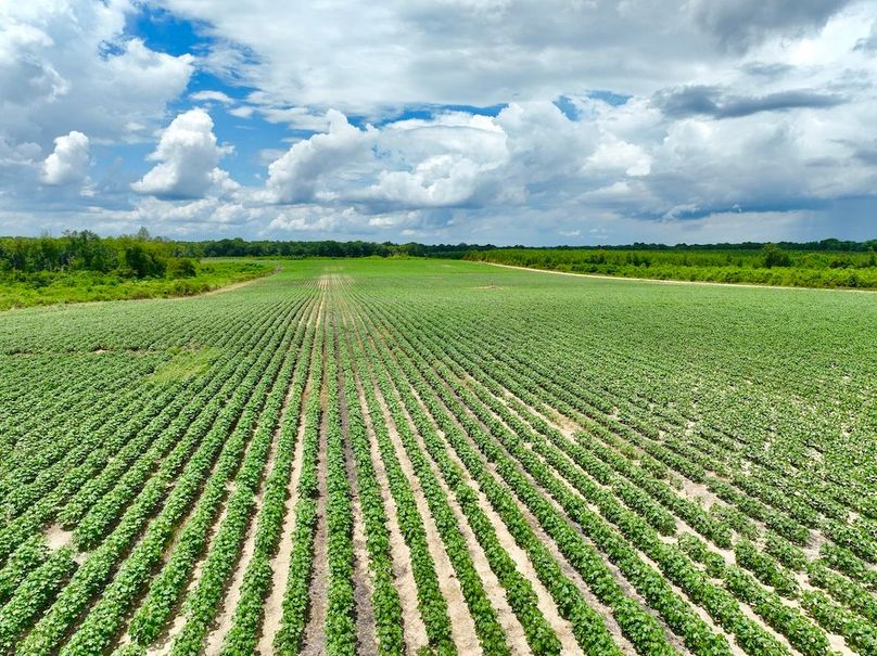 dji_fly_20240703_142858_517_1720031695626_photo