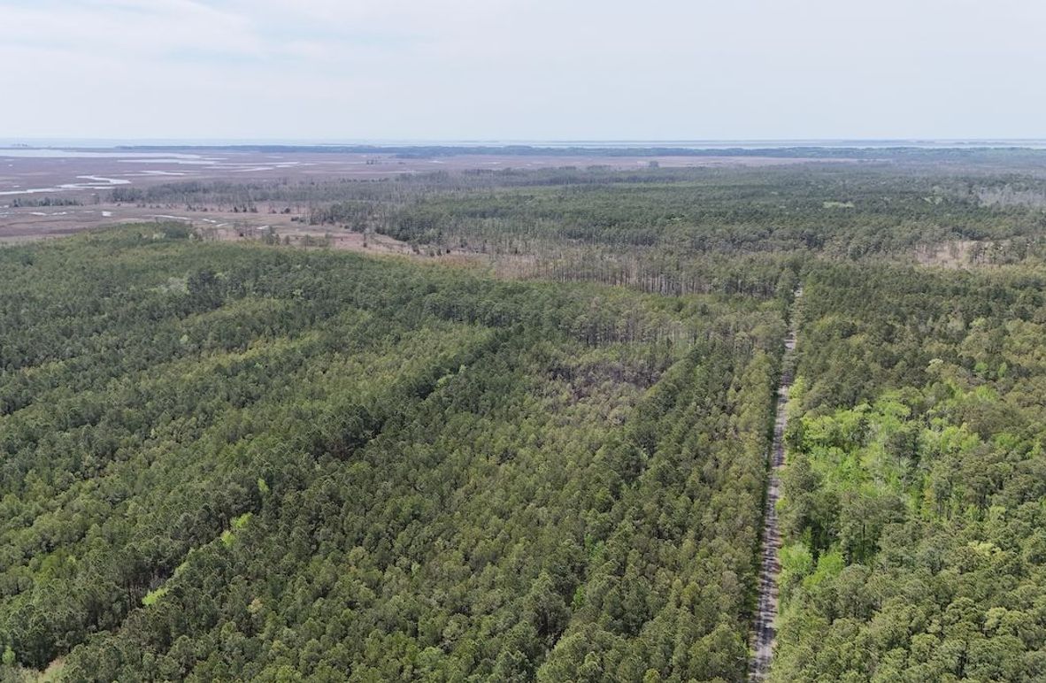 dji_fly_20250424_132944_0023_1745526020656_photo