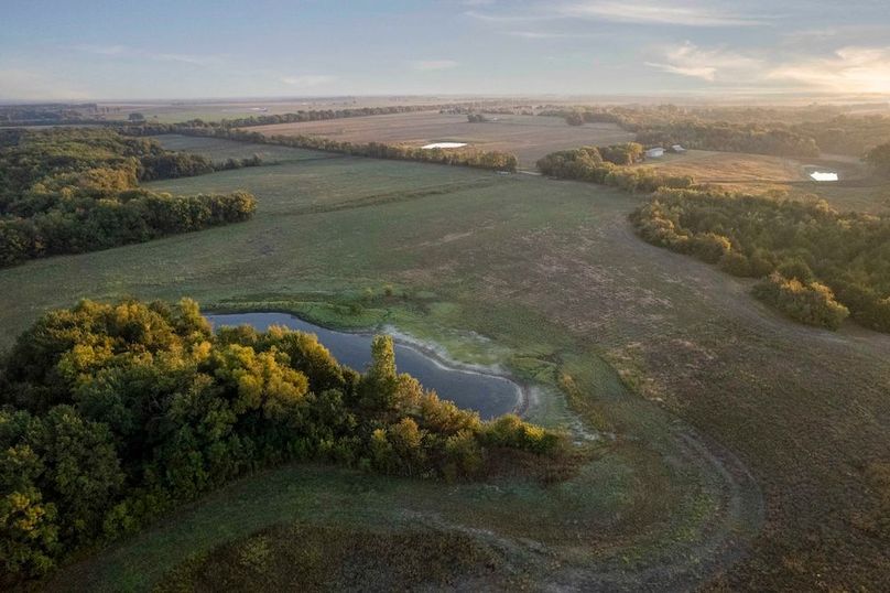 Lamar County- 93 acre reshoot (19 of 38)