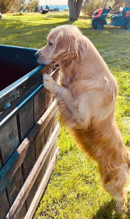 IMG_20260302_152927 (6)