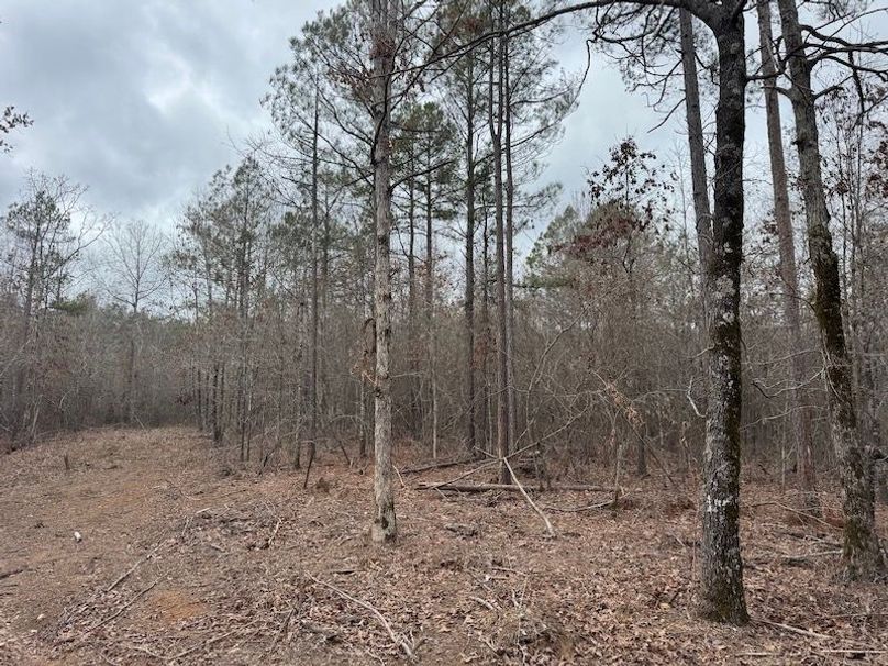 311 new20260217_0477