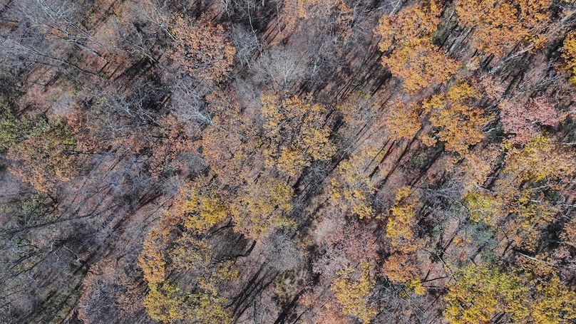 Somerset, 10.91, Tinkey-04