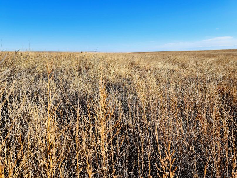 Copy of 20230208_090714