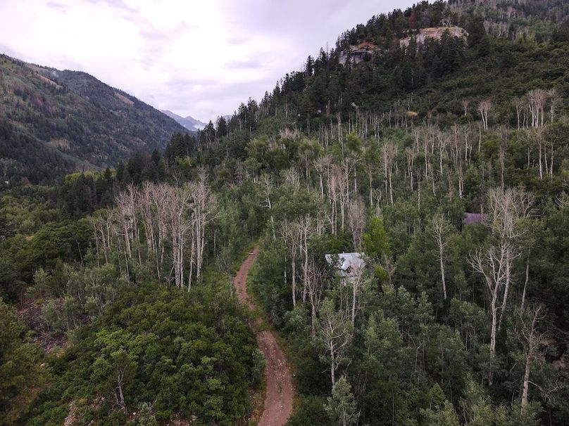 DJI_0250