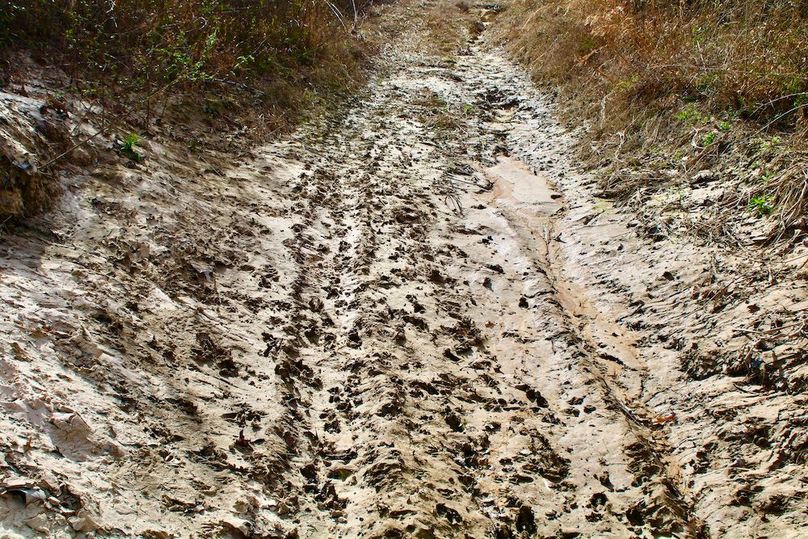 76B4AA6F-FD50-4920-824E-CA525BF5427A_1_201_a