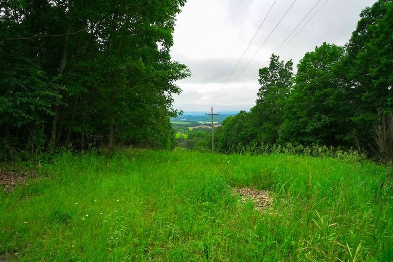 Bedford,121,Beegle-36