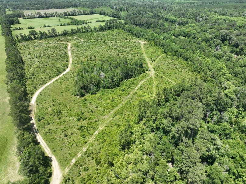 dji_fly_20250522_160056_211_1747959361839_photo