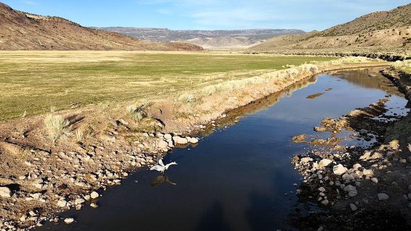 DJI_20250414185453_0185_D