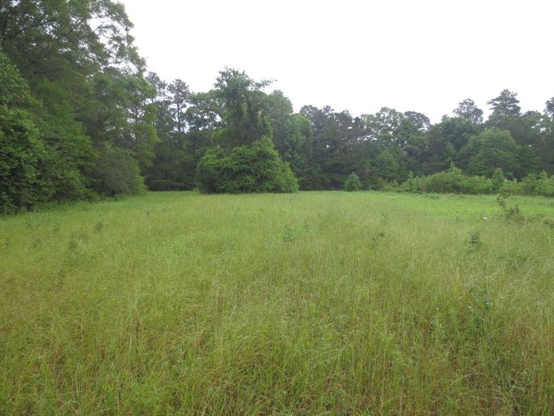 E1481114-4777-4F75-ACFF-B5B2A7E2E5C7_1_105_c