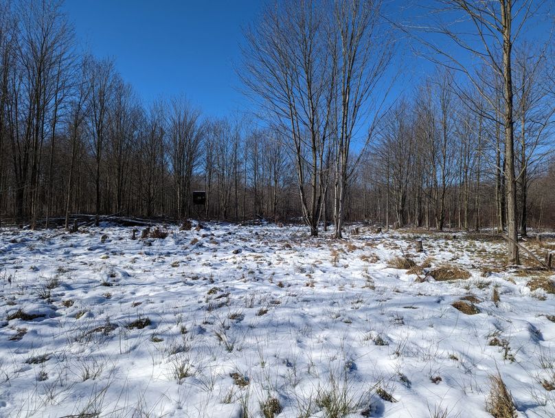 PXL_20230202_164551492