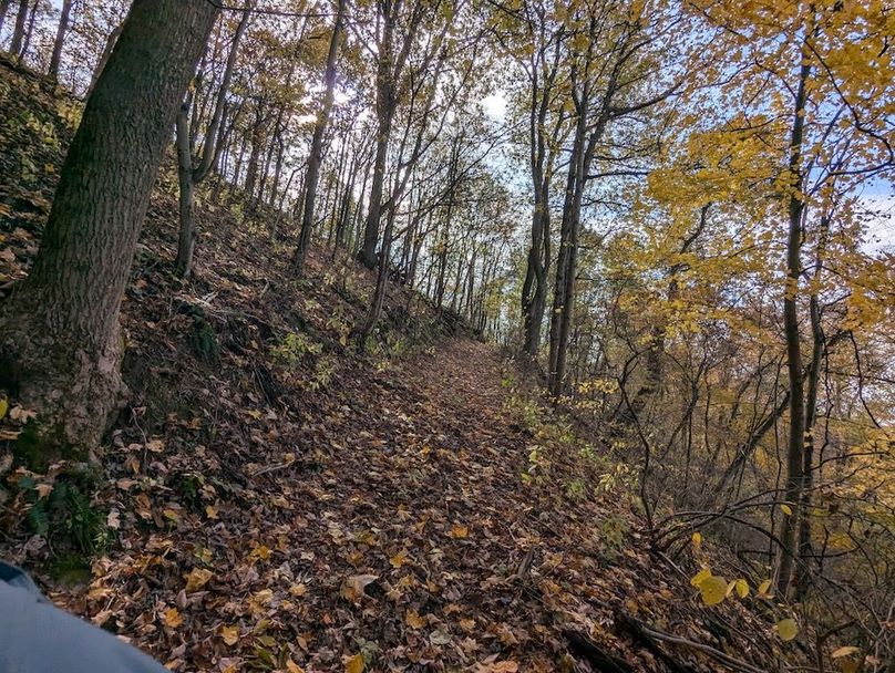 PXL_20251101_181403494