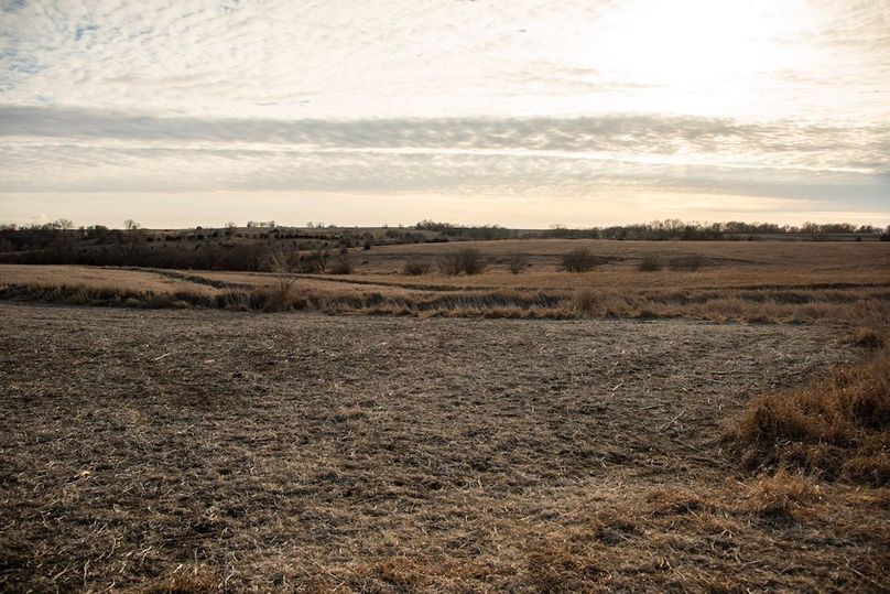 MONTGOMERY CO IA 156.78_60