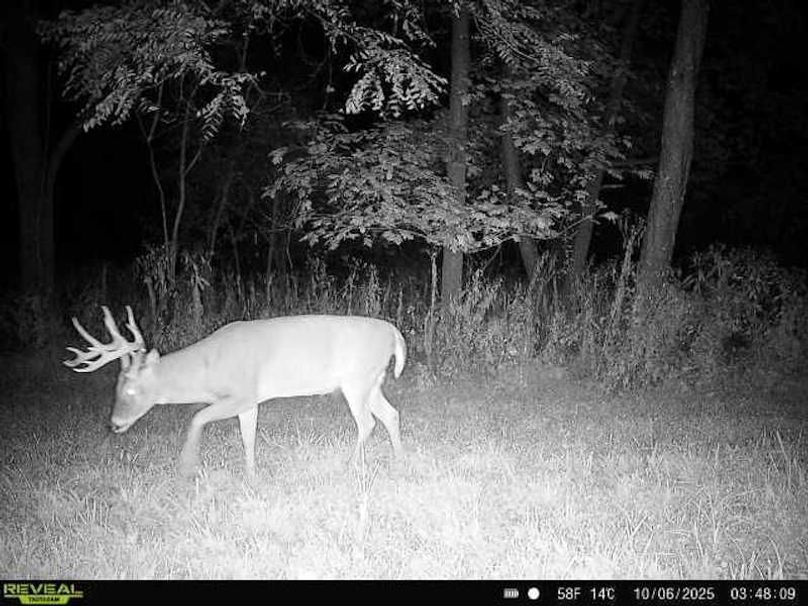 864049057528277-100-4-10062025034808-W1001076