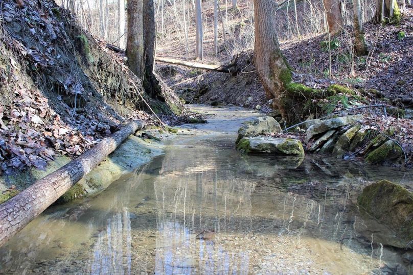 026 a gently flowing mountain pool with a stone bottom