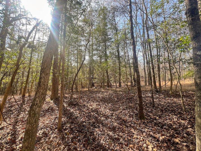 Kershaw 18 Belton-10