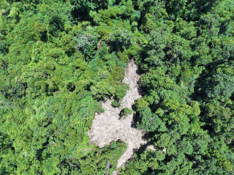 dji_fly_20250708_124042_0218_1752089881140_photo