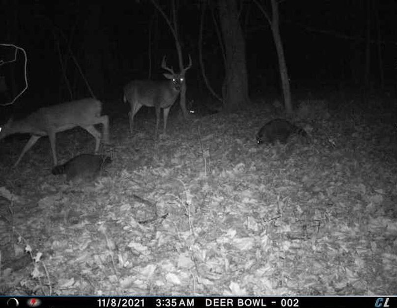 20F5DC67-D56A-40D0-A46A-5933B01A9729