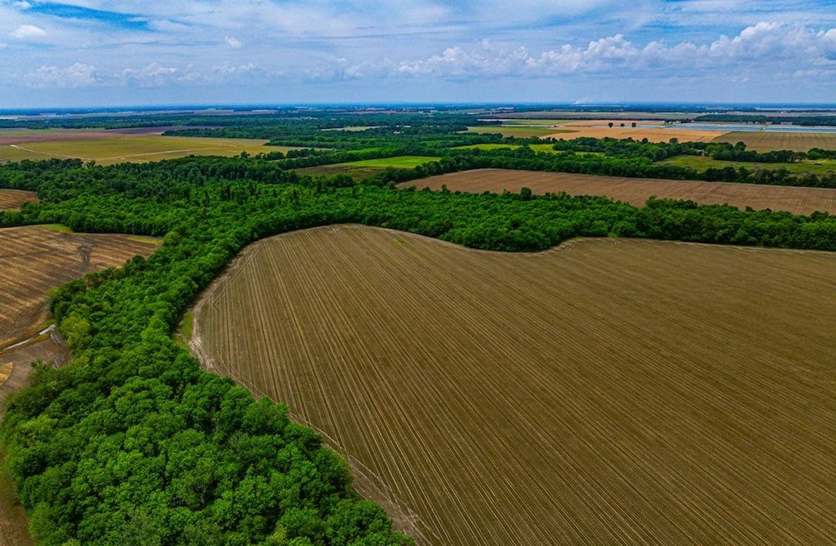 Copy of Noxubee 112.1 +- Tract 1-07