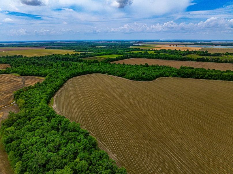 Copy of Noxubee 112.1 +- Tract 1-07